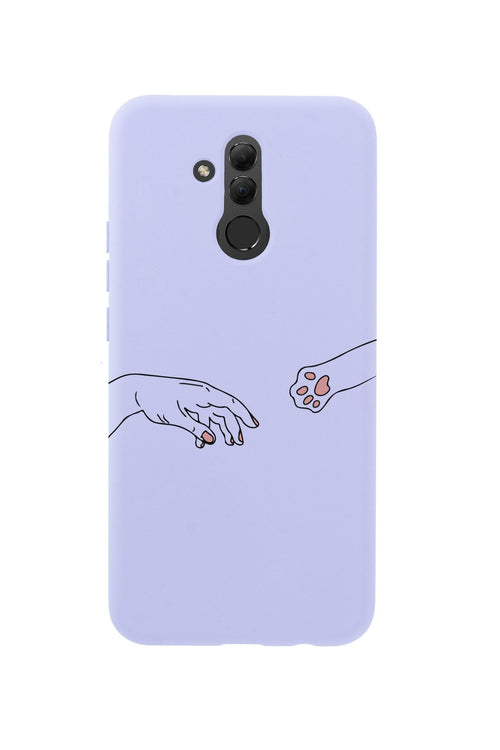 Hand and Paw